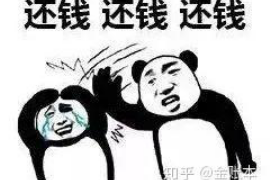 垦利贷款清欠服务